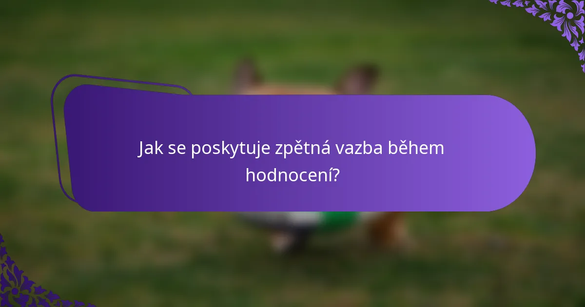 Jak se poskytuje zpětná vazba během hodnocení?