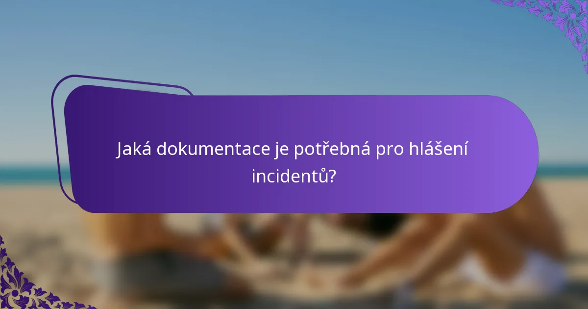 Jaká dokumentace je potřebná pro hlášení incidentů?