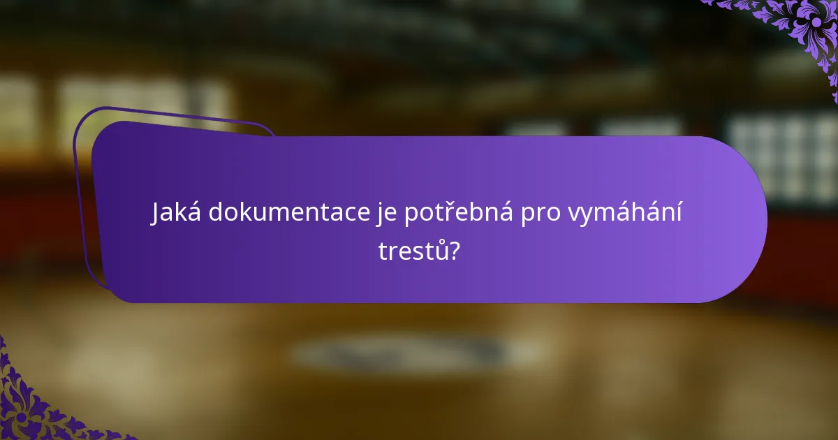 Jaká dokumentace je potřebná pro vymáhání trestů?