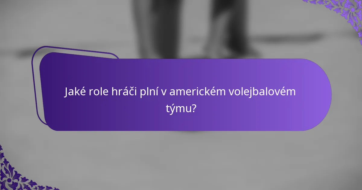 Jaké role hráči plní v americkém volejbalovém týmu?