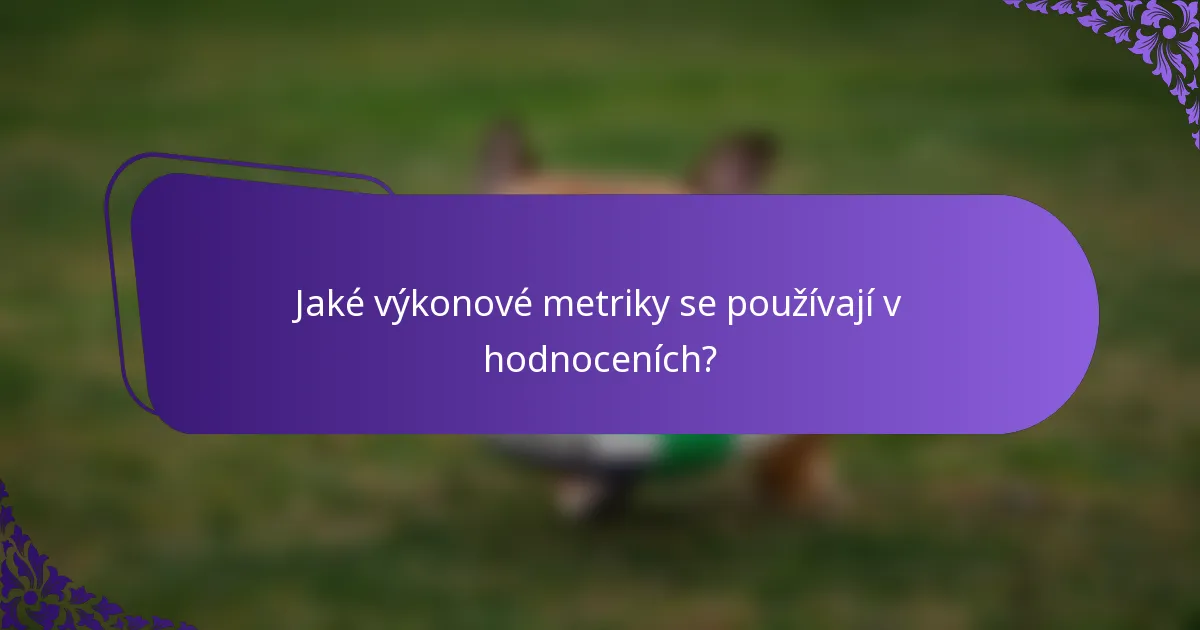 Jaké výkonové metriky se používají v hodnoceních?